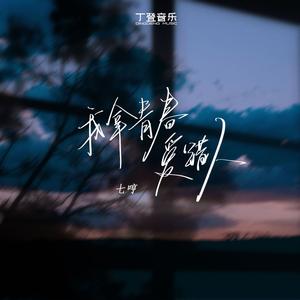 我拿青春爱错人（DJ版）