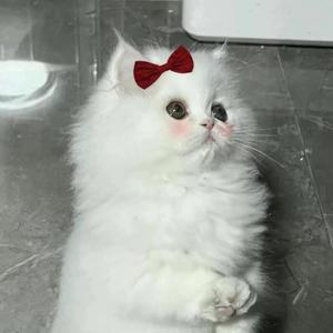 借过