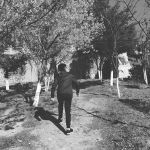 堂吉诃德幻想（demo）