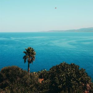 海风拂枕（纯音乐）