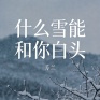 什么雪能和你白头