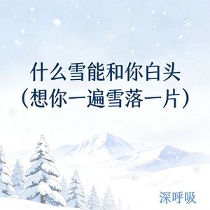 什么雪能和你白头 (想你一遍雪落一片)