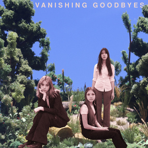 Vanishing Goodbyes