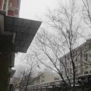 向阳而生（feet.态霆阳）