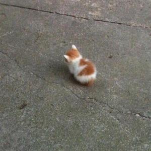 FREE PARDON炸就完了