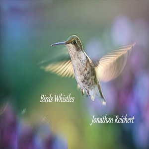 Birds Whistles (Live)