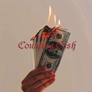 Counting Cash
