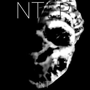 T-NT