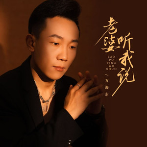 老婆听我说 (金曲版)