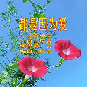 都是因为爱