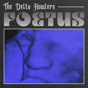 Foetus