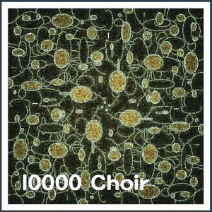 구주의 십자가 보혈로 (일만인 찬양 Ver.)