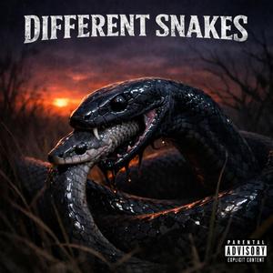 Different Snakes