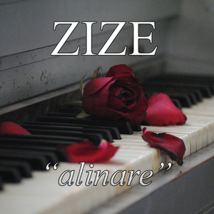 ZIZE-alinare