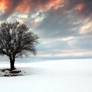 大雪纷飞的季节