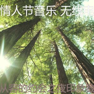 精彩约会之夜环境