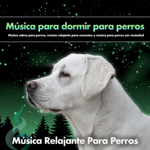 Dormir - Música suave