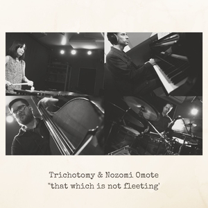 That Which is Not Fleeting