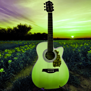 Dandelions (Guitar Instrumental)