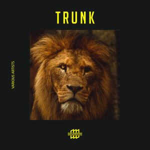 Back to Eclipse (VIP Mix)