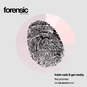 The Promise (Luis Damora Remix)