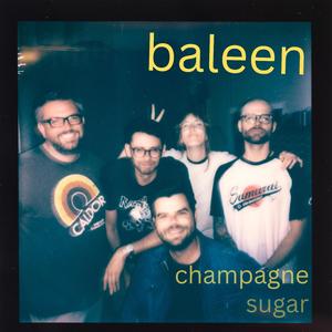 Champagne Sugar