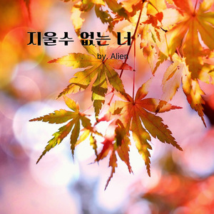 지울수 없는 너