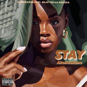 Stay (Akonoakono) (feat. Kojo Trilla & Medusa)