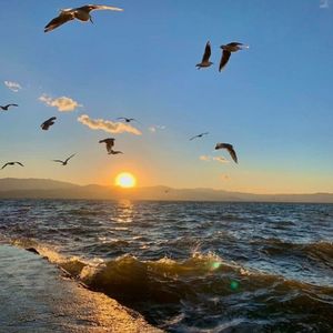 仗剑走天涯--许巍