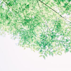 Gradually forget