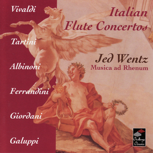 Concerto in D minor: Presto assai