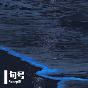 与你在海上相遇