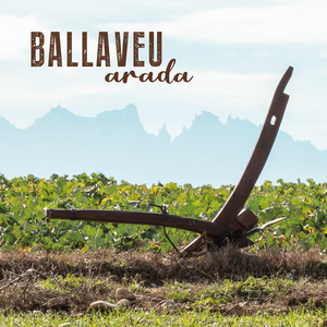 Cançó dels segadors a la Verge de Montserrat (sardana)