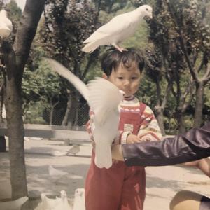 还你（翻自 新学校废物合唱团）