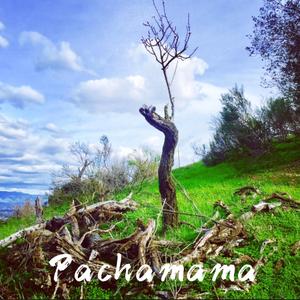 Pachamama 大地母亲
