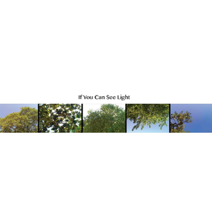 If You Can See Light