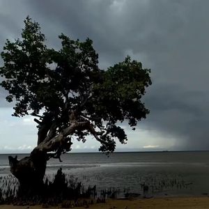 【Free】 “她不懂” Lofi & Romantic type beat