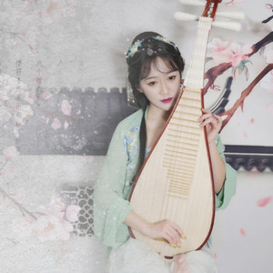 雨碎江南 (琵琶版)
