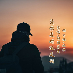 爱你是对还是错DJ (男版)