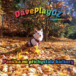 Panička mi přichystala bačkory