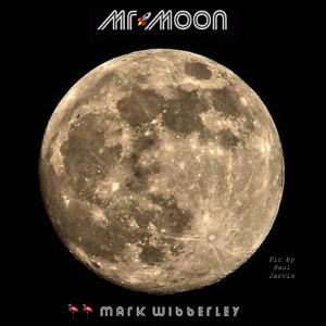 Mr Moon (Neil Armstrong)