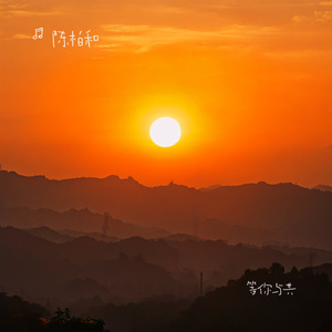 等你与共