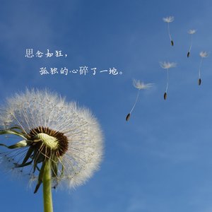 等下一段感情_169113130400560178_1759243846243.wav