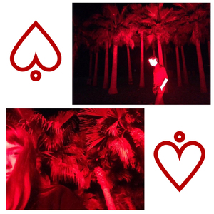 Думай о море