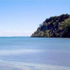 画江湖之不良人