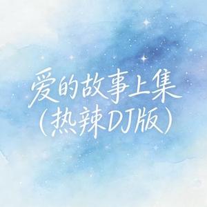 爱的故事上集（热辣DJ版）