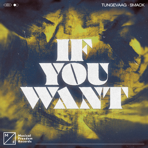 If You Want (Extended Mix)