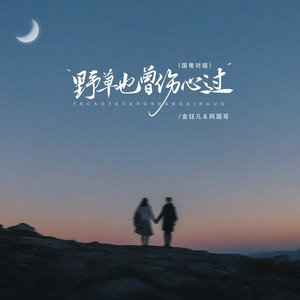 野草也曾伤心过