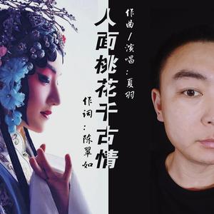 人面桃花千古情mix(1) 伴奏