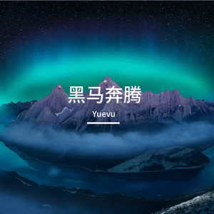 黑马奔腾